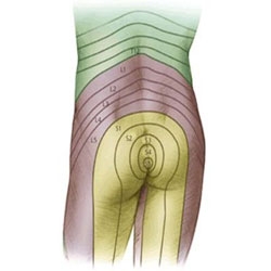 tratament de reabilitare a articulației genunchiului dureri severe de spate cum să trateze